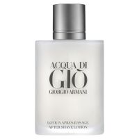 Acqua di Giò Homme After Shave 100ml
